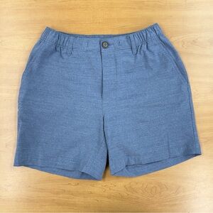 Chubbies Men’s Blue Shorts